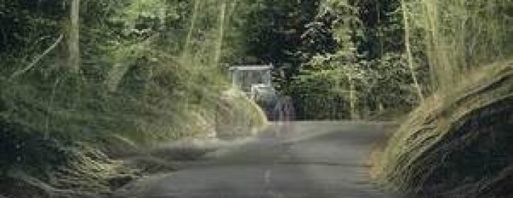 Drivers ‘oblivious’ to the risks of country roads