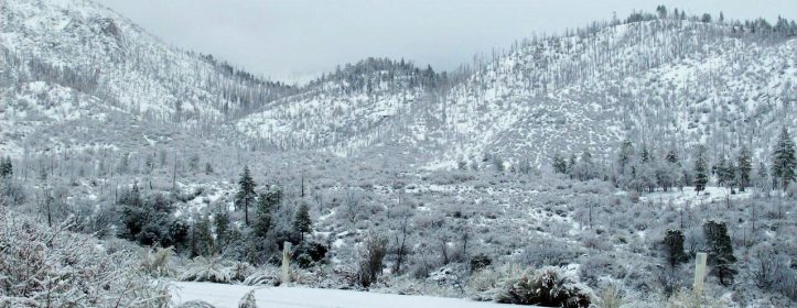 Driving Tips - Winter